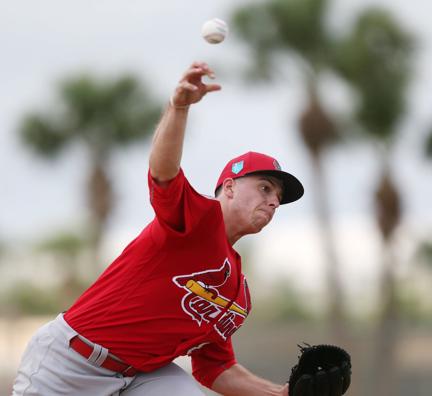 Cardinals spring training
